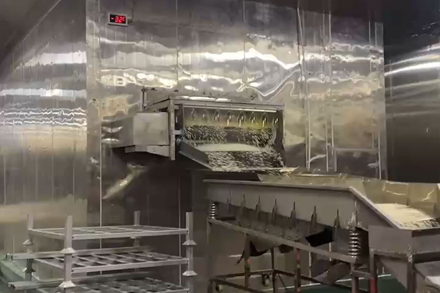 Un'azienda alimentare nella provincia del Fujian sta sviluppando un progetto di tunnel di congelamento rapido.