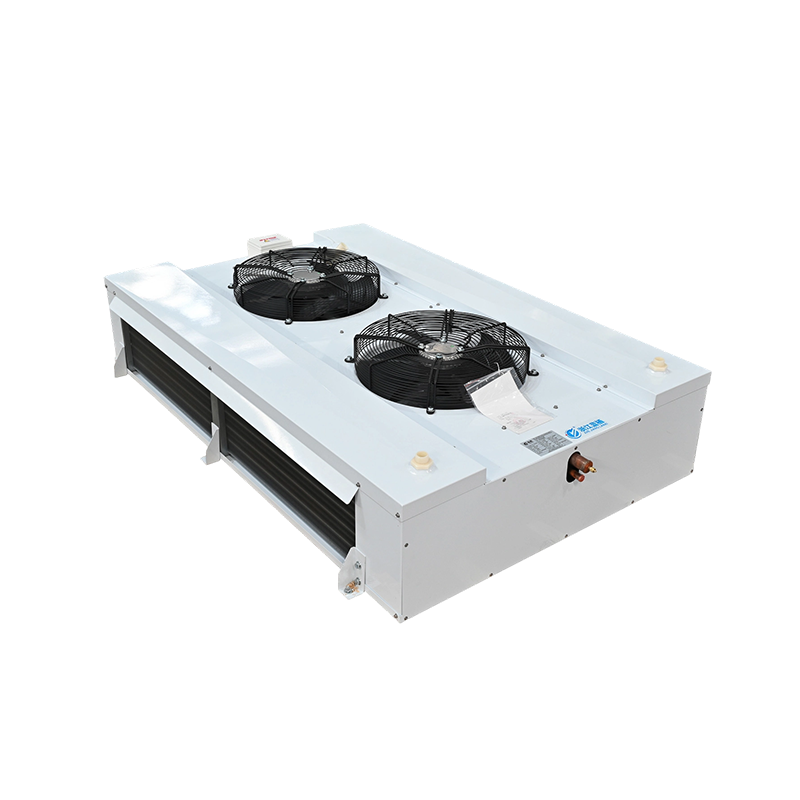 Ventilatore a doppia faccia